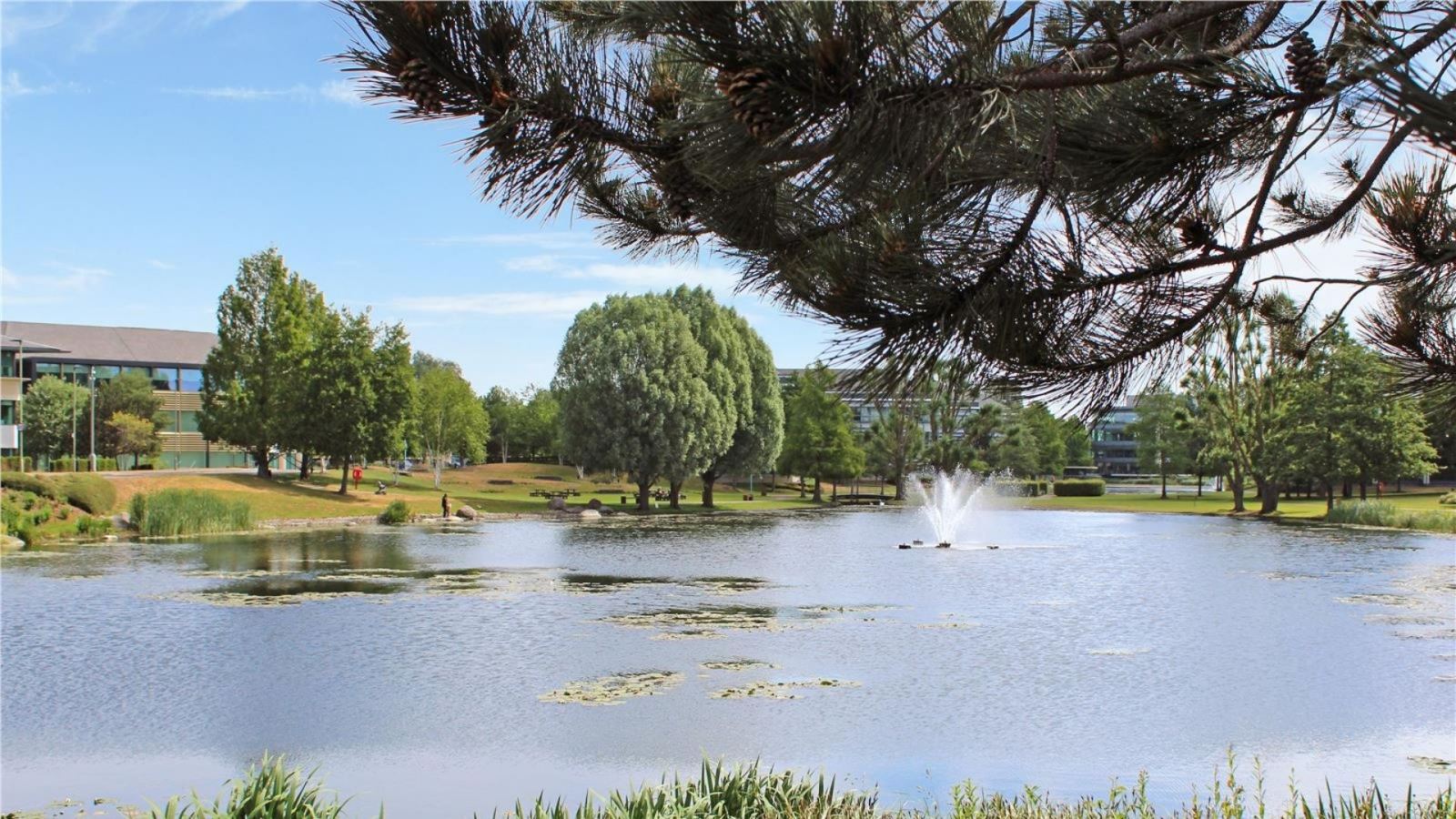 Lake and trees at Arlington Business Park in Theale Reading